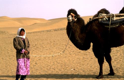 Seleccionando nuestros camellos. Foto: Sebastián Álvaro