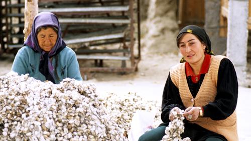 Recolectando capullos de seda en Jotan. Foto: Sebastián Álvaro