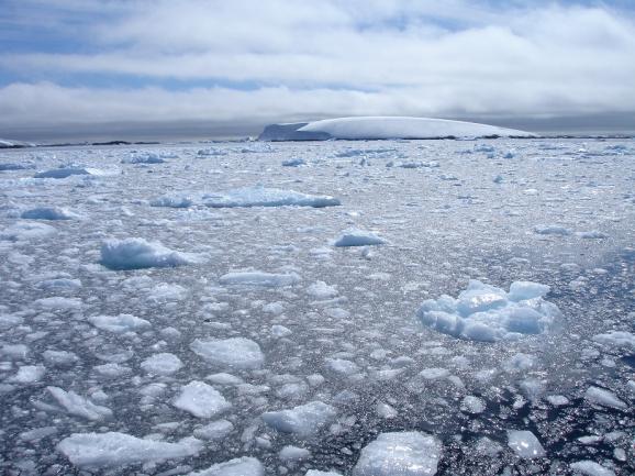 Los mares helados de la Antártida, así como el continente que rodean, son símbolos de lo inaccesible. Foto: Sebastián Álvaro